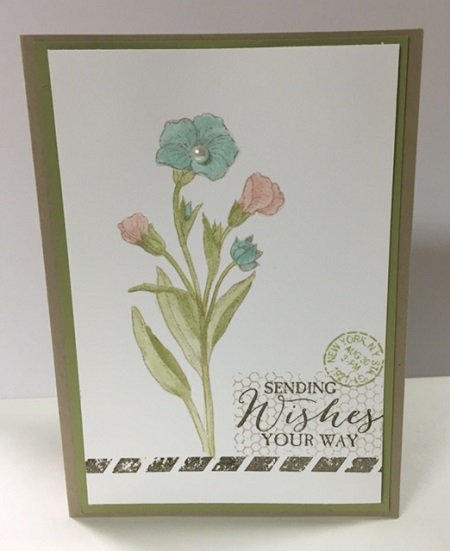 Butterfly Basic Watercolor • Stamp With Peggy