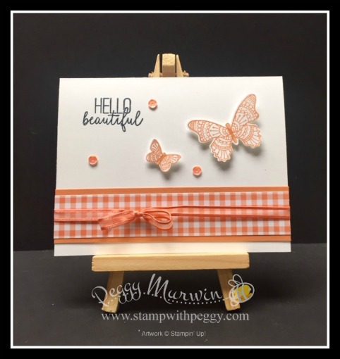 Butterfly & Gingham Gala Class Kit • Stamp With Peggy